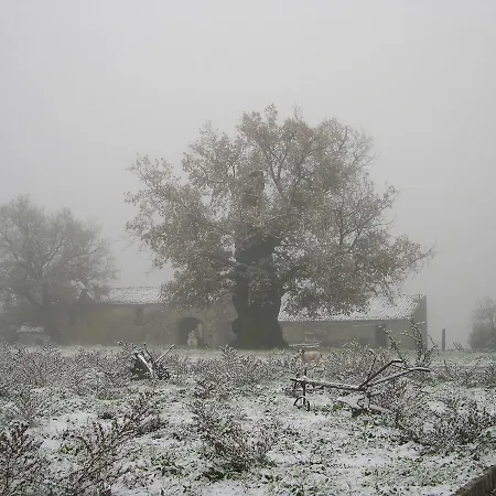 아파트 Il Castelluccio 비기아노