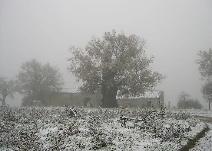 아파트 Il Castelluccio 비기아노